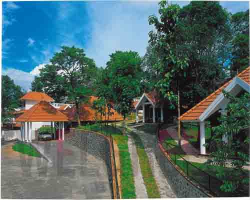 Welgreen Kerala Holidays - Hotel Treetop