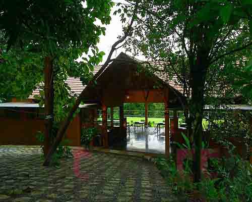 Welgreen Kerala Holidays - Rainforest 