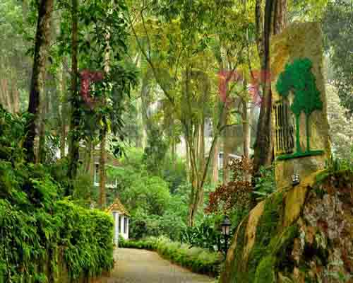 Welgreen Kerala Holidays - TALL TREES  RESORT