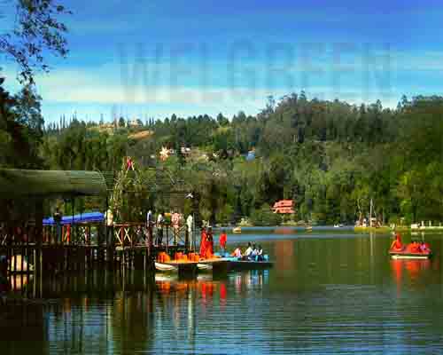 Welgreen Kerala Holidays